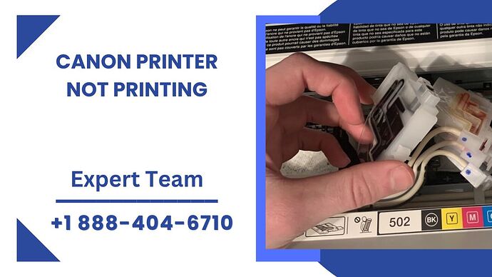 canon pirnter not printing