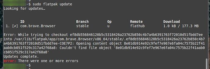 error- brave update via flatpak